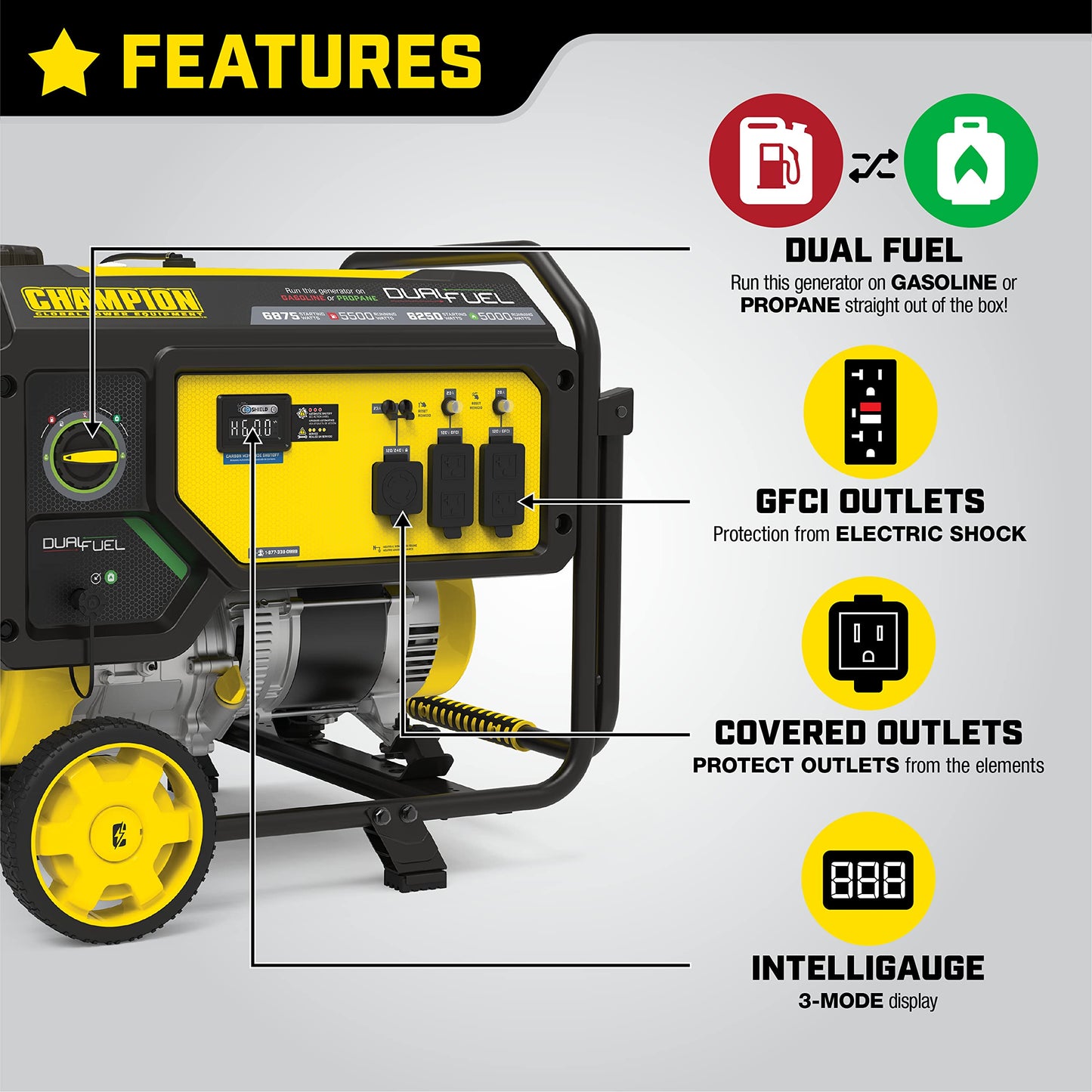 Champion Power Equipment 201085 6875/5500-Watt Dual Fuel Portable Generator, CO Shield 5500-Watt + Dual Fuel + Manual Start + CO Shield