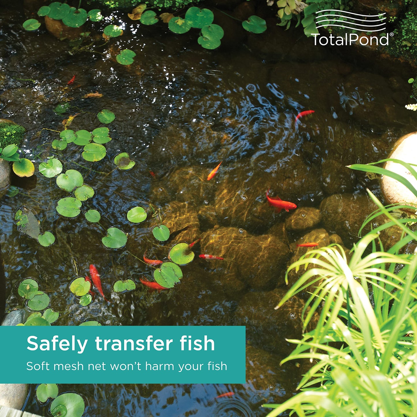 TotalPond Skimmer Fish Net