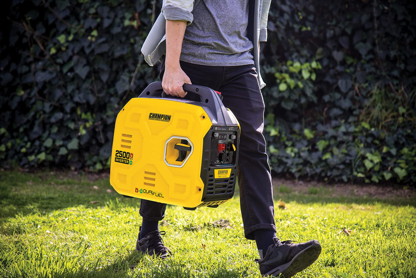 Champion Power Equipment 201183 2500-Watt