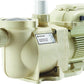 Pentair SuperFlo® VS Variable Speed Pool Pump, 342001
