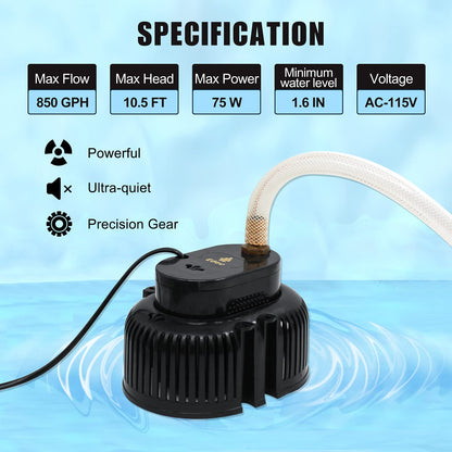 EDOU DIRECT Pompe submersible pour couverture de piscine Black Edition | ROBUSTE | Débit maximal de 850 GPH | 75W | Comprend un tuyau de drainage anti-torsion de 16 pi, 2 adaptateurs | Idéal pour vidanger les piscines hors sol et creusées