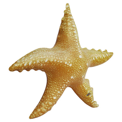 Jet Creations Animaux gonflables 50,8 cm de large Lot de 4 fournitures de piscine Star Fish Party Favors Cadeaux d'anniversaire pour enfants an-STAR4, Multi STARFISH