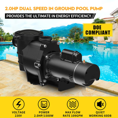 Pompe de piscine à double vitesse BRIOPAWS 2HP, débit de 6420 GPH, levage de tête de 66 pieds, raccords de 1,5 "et 2", pompe à eau auto-amorçante pour piscines creusées/hors sol/eau de mer et bains à remous, 230 V 60 HZ AC 2.0hp