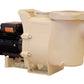 FibroPool 1.5 HP Swimming Pool Pump for In Ground Pools and Spas - 1.5 Horsepower - Designed in the USA - High Efficiency Single Speed Motor With Clear Top Lid - FP150