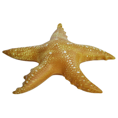 Jet Creations Animaux gonflables 50,8 cm de large Lot de 4 fournitures de piscine Star Fish Party Favors Cadeaux d'anniversaire pour enfants an-STAR4, Multi STARFISH