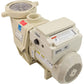 Pentair 011028 IntelliFlo VS Pool Pump, Almond