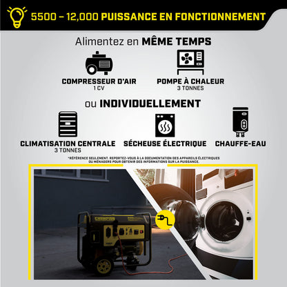 Champion modèle #100462 Générateur de 6 500 watts