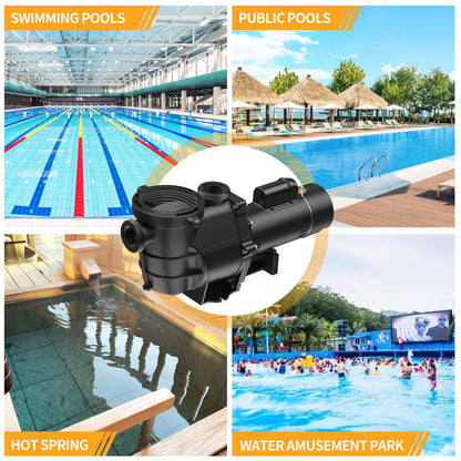 Pompe de piscine à double vitesse BRIOPAWS 2HP, débit de 6420 GPH, levage de tête de 66 pieds, raccords de 1,5 "et 2", pompe à eau auto-amorçante pour piscines creusées/hors sol/eau de mer et bains à remous, 230 V 60 HZ AC 2.0hp