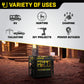 Champion Power Equipment 200914 4250-Watt Open Frame Inverter Generator, Dual Fuel Technology 4250-Watt + Dual Fuel + Manual Start
