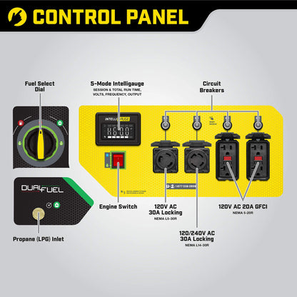 Champion Power Equipment 100891 Générateur portable bicarburant 9375/7500 watts, démarrage électrique 7500 watts + bicarburant + démarrage électrique 