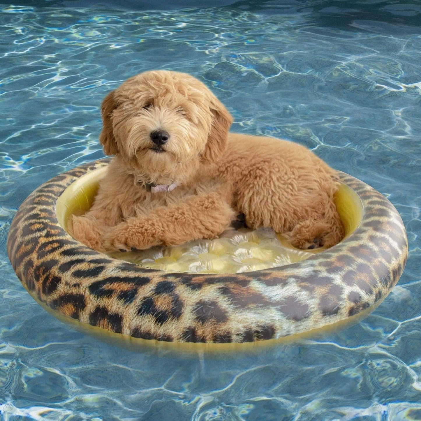 PoolCandy Inflatable Pet Float - Easy Set Up Doggy Pool Floats Up-To 35LB LEOPARD PRINT