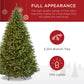 Pre-Lit Hinged Douglas Artificial Christmas Tree w/ Stand
