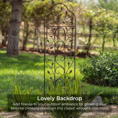 Set of 2 Iron Arched Garden Trellis