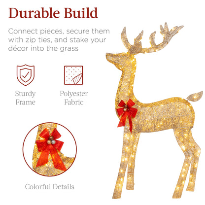 3-Piece Lighted Christmas Deer Set Outdoor Decor with LED Lights