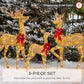 3-Piece Lighted Christmas Deer Set Outdoor Decor with LED Lights