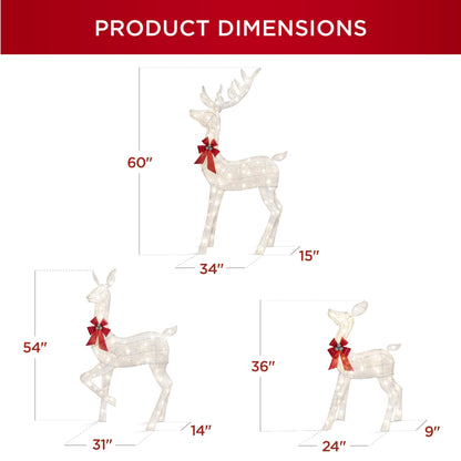 3-Piece Lighted Christmas Deer Set Outdoor Decor with LED Lights