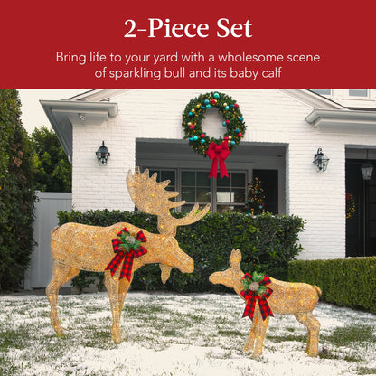 2-Piece Moose Family Lighted Outdoor Christmas Decoration Set w/ LED Lights