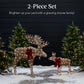 2-Piece Moose Family Lighted Outdoor Christmas Decoration Set w/ 170 Lights